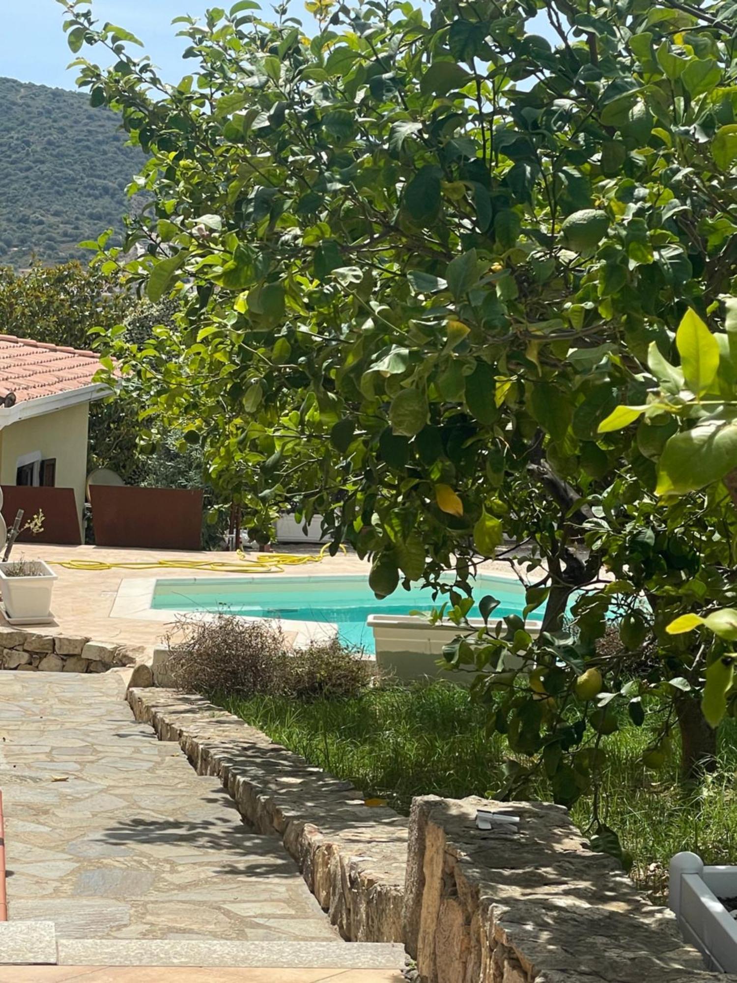 בודוני Sa Murta Bianca Guesthouse מראה חיצוני תמונה